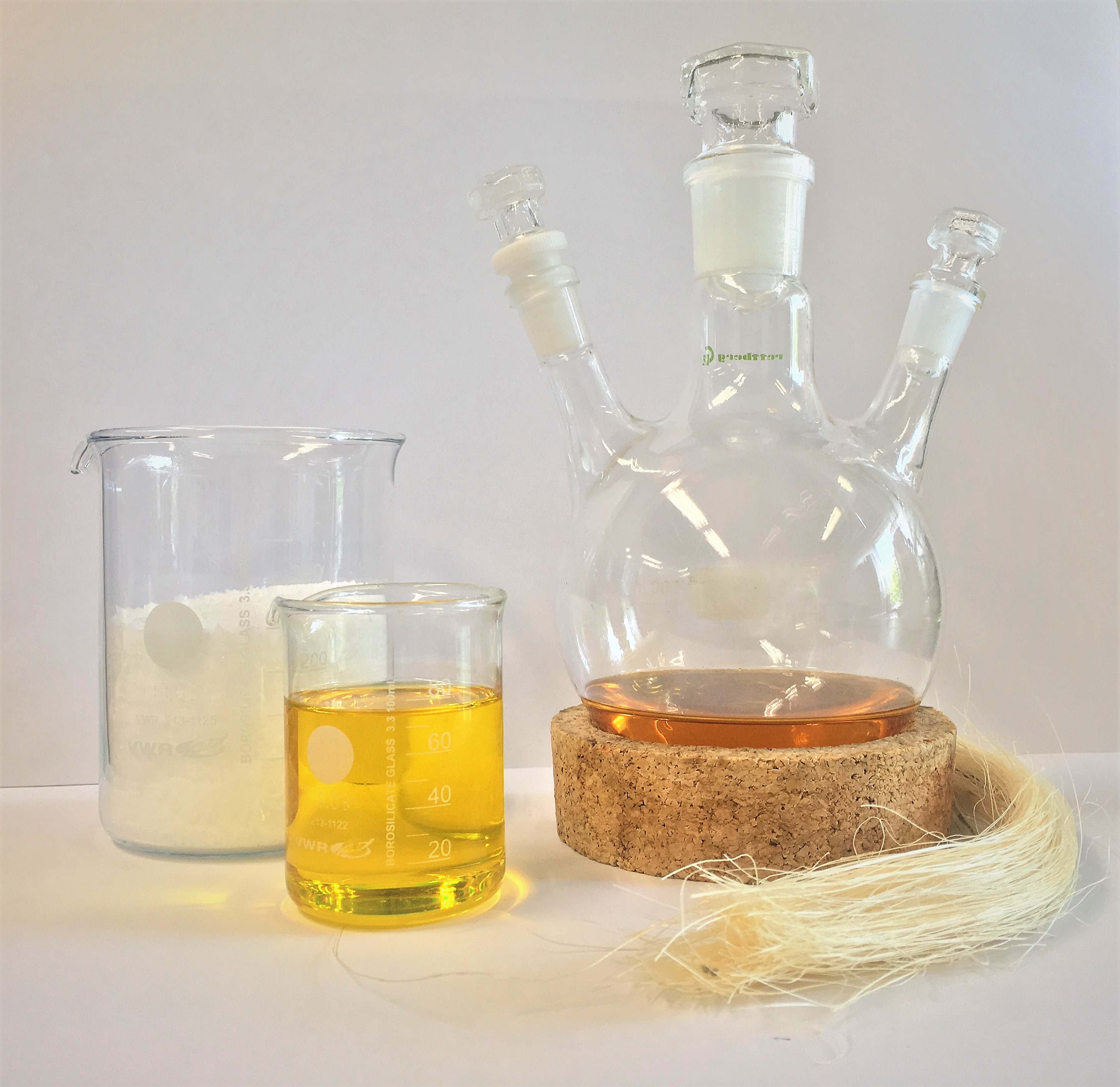 Verwendete Rohstoffe: Lactid, Pflanzenöl und Naturfasern, sowie eine Zwischenstufe der Polymersynthese im Reaktionskolben. © Fraunhofer IFAM