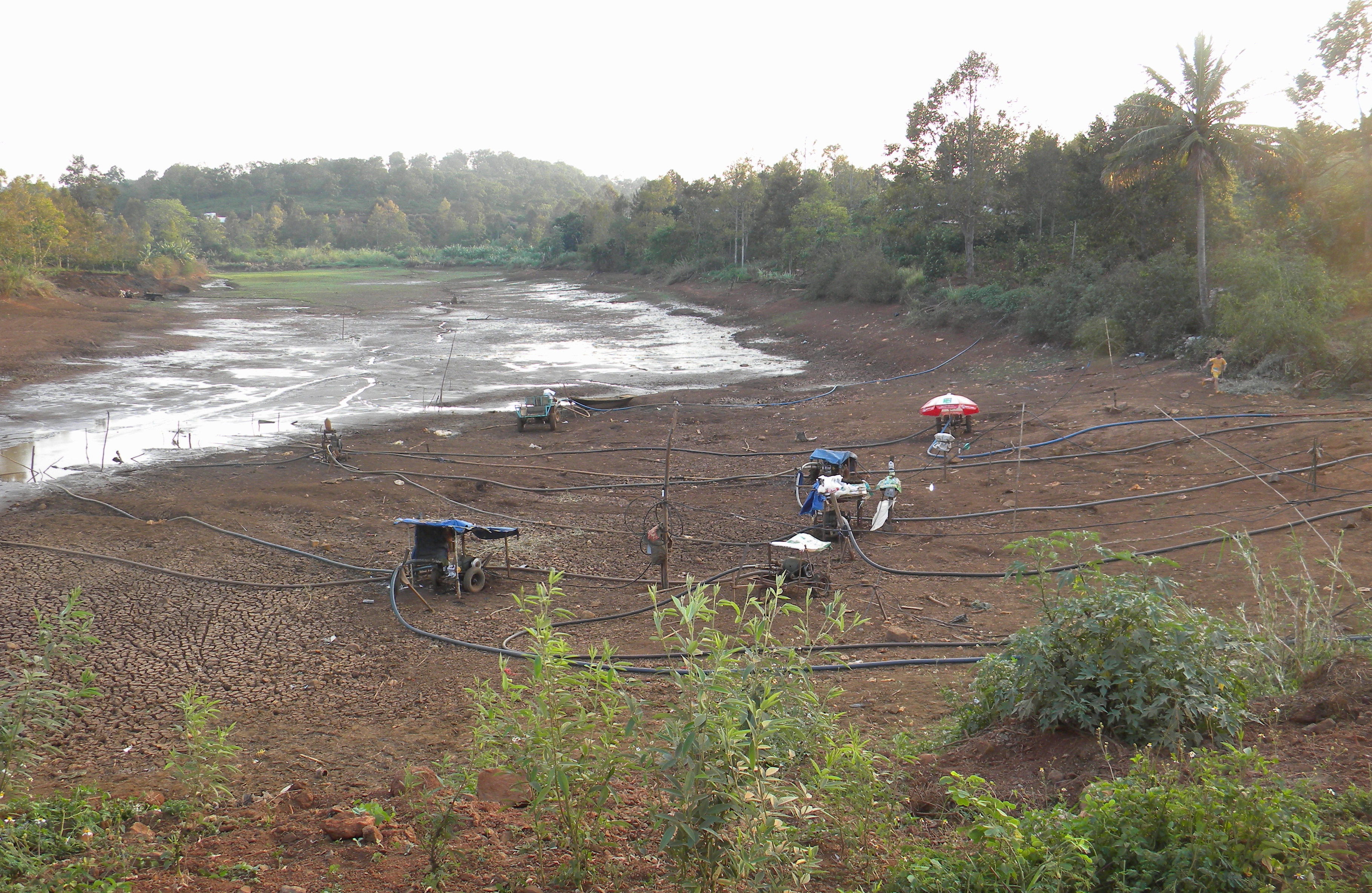 Wasserversorgung einer Kaffeeplantage in der Provinz Đắk Nông
