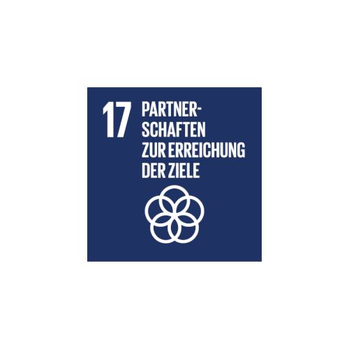 SDG 17 Logo