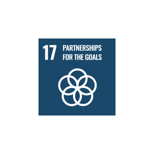 SDG 17 icon